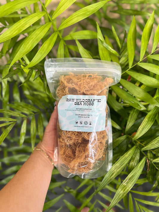 Raw Wildcrafted Sea Moss