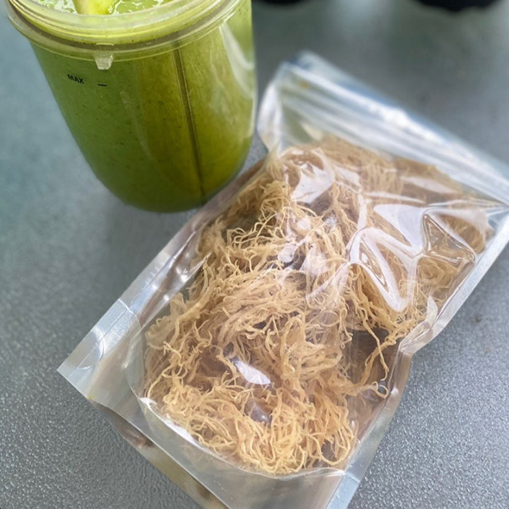 Raw Wildcrafted Sea Moss